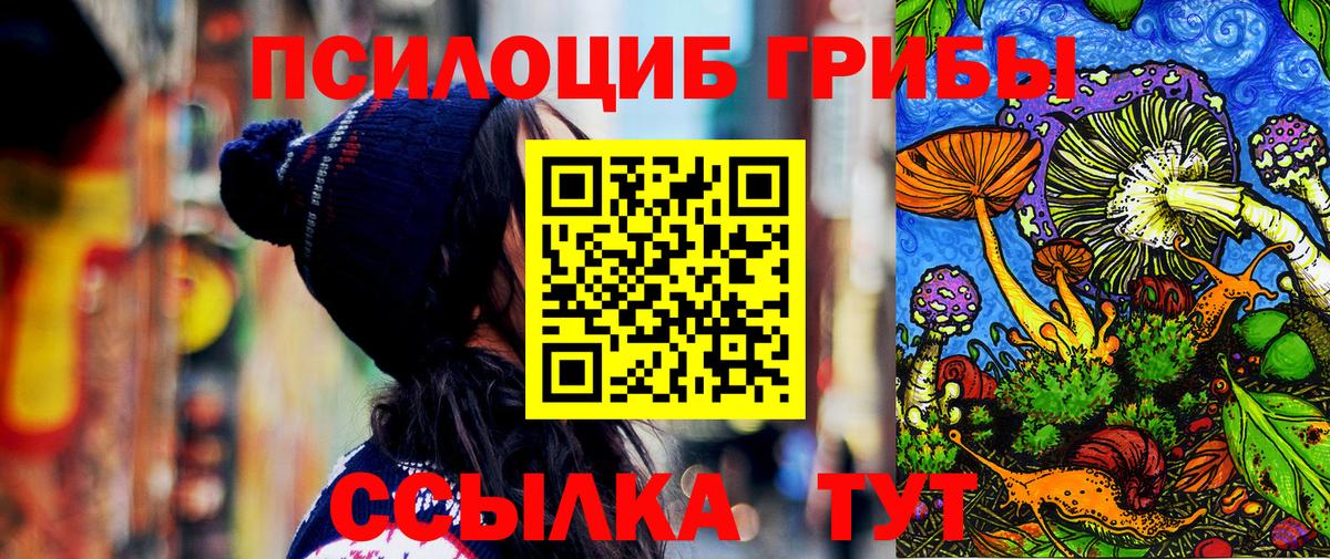 Галлюциногенные грибы Cubensis  Псилоцибиновые грибы GOLDEN TEACHER  Вход с VPN  Пугачёв 