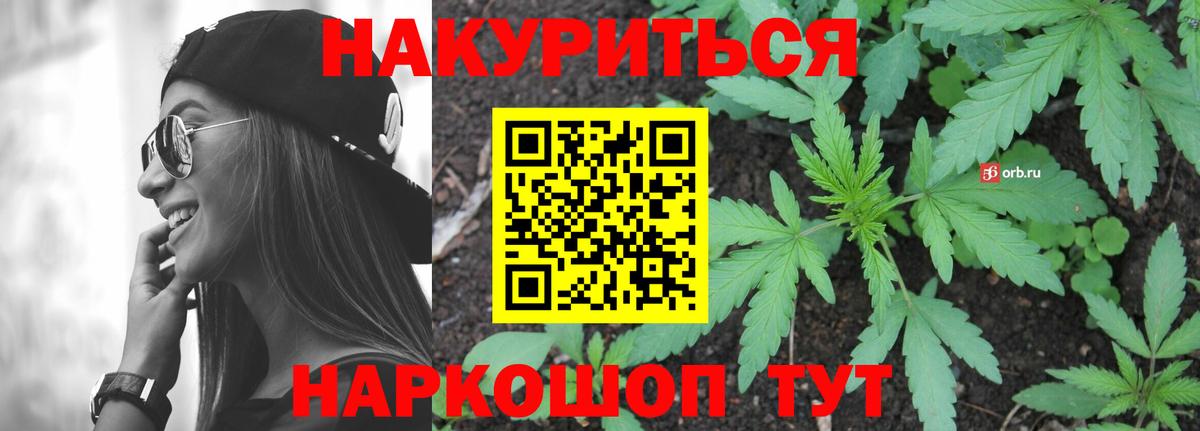 Пугачёв  Конопля марихуана  Шишки марихуана планчик  Бошки Шишки SATIVA & INDICA  Вход с VPN  Канабис гибрид 